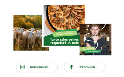 Rejoignez notre aventure pastorale sur les réseaux sociaux !